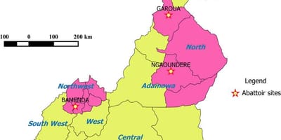 ಕ್ಯಾಮರೂನ್ ತೋರಿಸುವ ಪ್ರದೇಶಗಳ ನಕ್ಷೆ